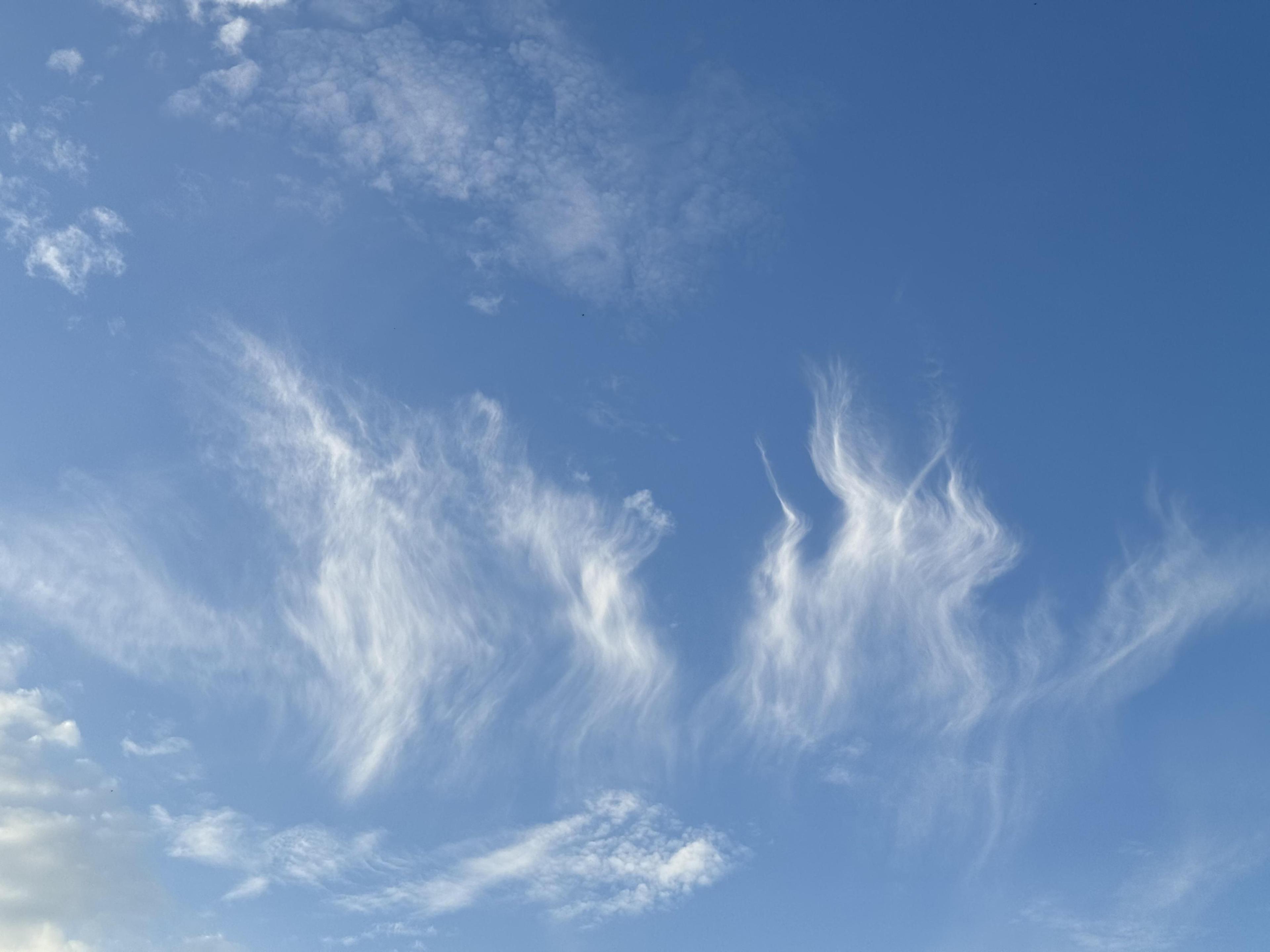 What Is the Warm Sector in a Low-Pressure System?